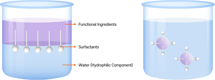 Functional materials, surfactants, water (hydrophilic component) visualized