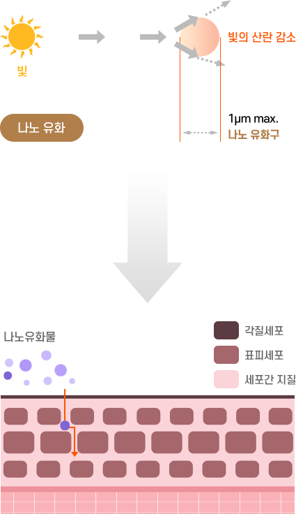 나노 유화 : 빛의 산란 감소, 1μm max. (나노 유화구)> 나노 유화물이 세포에 들어가는 이미지