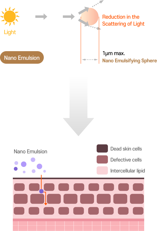 Nano Emulsification: Reduced light scattering, maximum 1μm (nano-emulsion droplets)> Image of nano-emulsion entering cells.