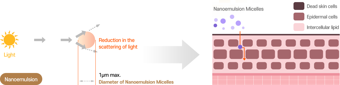 Nano Emulsification: Reduced light scattering, maximum 1μm (nano-emulsion droplets)> Image of nano-emulsion entering cells.